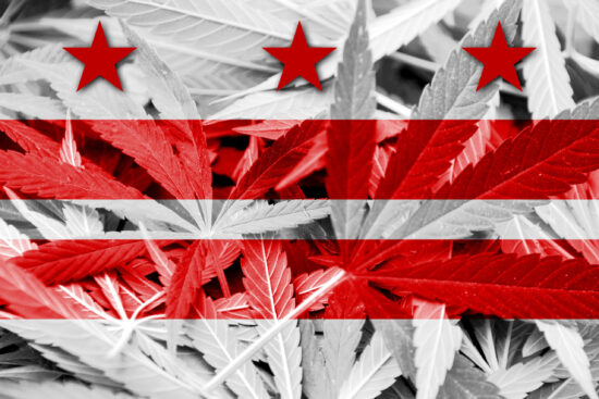 Washington DC Flag on cannabis background. Drug policy. Legalization of marijuana