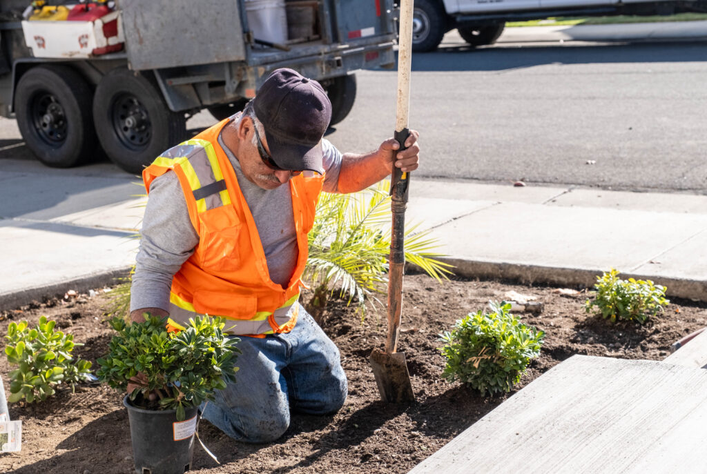 Gardener wearing orange safety vest digging with shovel in front yard